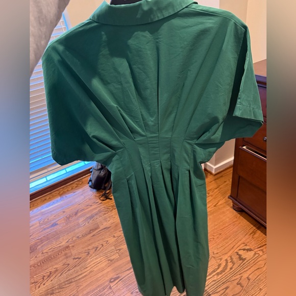 Tobie Midi Button-Front Pleated Midi Dress - Picture 4 of 5